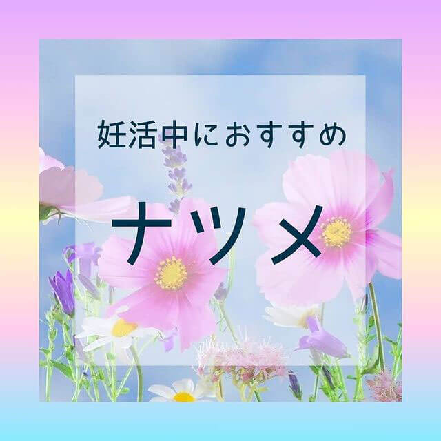 妊活中におすすめ　ナツメ